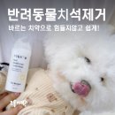 펫츠나라 동물병원 | 반려동물치석제거, 바르는치약 펫츠다이닝 후기! 이브의 입냄새 탈출기!