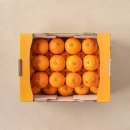 의성축산업협동조합 | 이마트 에브리데이 고래잇페스타 1월 할인 행사 전단