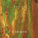 나무와나 이미지
