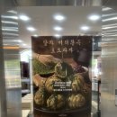 장*호 - 단양군 상진13길 | 천안 | 학화할머니호도과자 '말차 버터쫀득 호도과자' '앙버터' '호절미' 내돈내산 후기