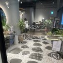 도봉구 창동 티카페, 조용하게 즐기기 좋은 &#39;티하우스다드림&#39; 후기
