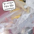 꽃내마을 이미지