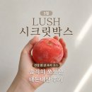 5월 러쉬 시크릿박스 건강 한 잔 루키 후기! 와사비 샴푸•리트레드•애플 크럼블 솔직리뷰(러쉬 강남역점)