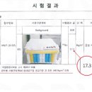 제주도 침대 매장 방문 후기 – 금성침대에서 찾은 완벽한 편안함