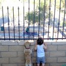 서암초등학교 이미지