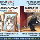 로빈헤어(Robin hair) | '리본/활/나비넥타이' vs '고개 숙여 인사하다/절하다'; 대표적 동철이의어(Heteronym) Bow vs. Bow