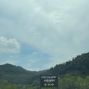 스테이 클래시 이미지