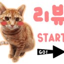 고돼지화성