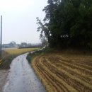 춘포면-05 이미지