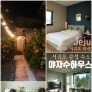 야자수정원 | 제주도펜션 서귀포숙소 야자수하우스 솔직후기