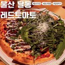 세븐일레븐 울산왕생점 | 울산 삼산 달동 피자 맛집 레드토마토 반려동물 동반 가능