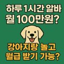강아지 와요와요 | 하루 1시간 알바로 월 100만 원? 강아지랑 놀고 돈 버는 와요(WAYO) 펫시터 부업 리얼 후기 총정리!