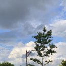 현대모텔 | 250926 | 태양 현대카드 다빈치 모텔 후기