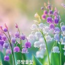 수동골 이미지