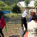 삼봉1리경로당 이미지