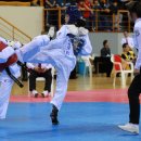 대학태권도체육관 이미지