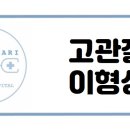 다산마리동물병원 이미지