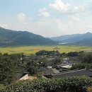 하동산수애 이미지