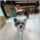 평화유치원 이미지