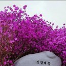 발짝발짝