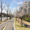 경춘선 자전거도로13 티스토리