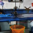 국제유선(해피호) 이미지