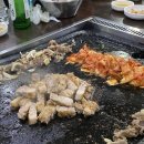 복돼지꿈 - 서산시 | 복돼지꿈