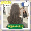 하우컷 이미지