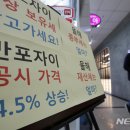 '공시가 상승 1위' 과천아파트 0.31% 하락…서울 18주연속↓ 이미지