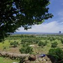 앨리스골프클럽 이미지