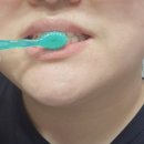 세정메디컬 | 외출 시 간편한칫솔 에이치알메디컬 일회용 미니칫솔 퀵클린