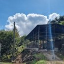 거대한우농장 이미지