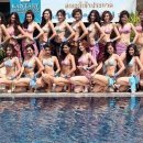 미스타일 이미지