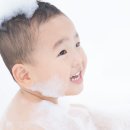 카페보니따