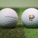 레알스크린골프 이미지