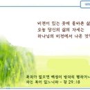 일일예화말씀묵상 2022년 7월 14일 (목) - 기도와 행함 이미지