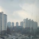 개림프라자 네이버블로그