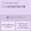 래빗투어