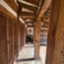 몽유재