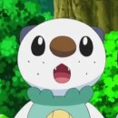 수댕이네 이미지