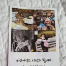 미하이스토어 | [구입후기] 가성비 넘치는 남자양말 쇼핑몰 추천! 미하이삭스 양말 구입후기