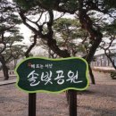 솔밭쉼터 - 영월군 선돌길 46 | 솔밭쉼터