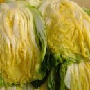 숙이네농장 이미지