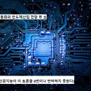 정동희의 반도체산업 전망 뷰 Ⅱ (인공지능이 이 토론을 9번이나 반박하지 못한다) 【정동희 : 1】 이 글로벌 사회가 거대한 학습조직 이미지