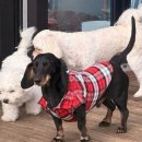 천사유치원_경계10m | 30대 싱글라이프 | 테무깡 성공템+런닝,발레,다이어트 식단,봄동비빔밥,친구 청모,신세계아울렛