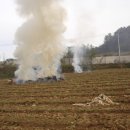 석보면사무소 네이버블로그
