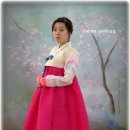 양지한복 이미지