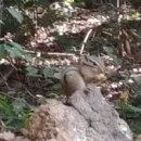 두산미술교습소 네이버블로그