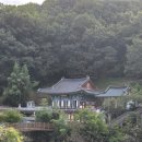 함안 능가사 칠성탱 | 경남 창녕 근교 가볼 만한 곳 함안 능가사 낙동강뷰 사찰