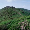 영주 이미지